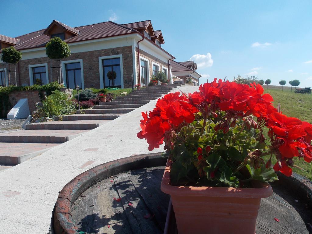 St Peter Vini Hotel Svaty Peter Luaran gambar